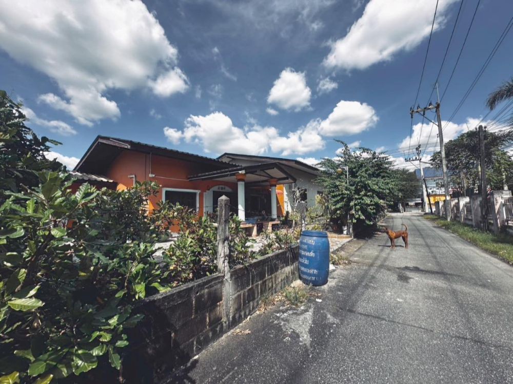 ที่ดินโฉนดแบ่งขาย 100 ตรว.- 2ไร่ (สด-ผ่อน) เหมาะสร้างบ้านสวน น้ำไฟถนนสาธารณะพร้อม ไม่เปลี่ยว