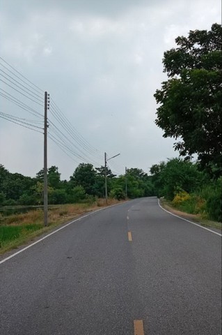 ขายที่ดิน 10 ไร่ ใกล้ถนนสิริโสธร ( 314 ) บางปะกง-ฉะเชิงเทรา ต.แสนภูดาษ อ.บ้านโพธิ์ จ.ฉะเชิงเทรา