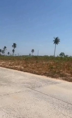 ขายที่ดินเปล่าจันทบุรีติดถนนสุขุมวิท ขายที่หน้ามหาวิทยาลัยราชภัฏรําไพพรรณี