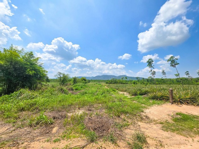 ขายที่ดินซอยติวานนท์-ปากเกร็ด 27 จ.นนทบุรี หน้าที่ติดถนนซอย