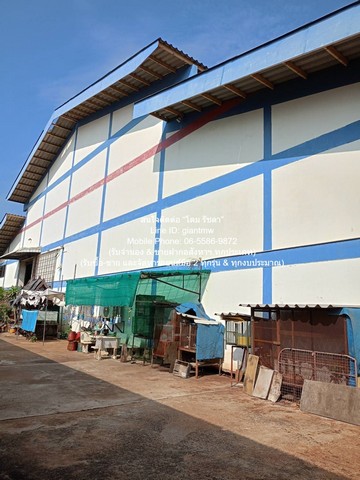 รง. ขายโรงงาน (สำนักงาน และโกดัง) อ.เมือง จ.สมุทรสาคร 4-1-61 ไร่ ราคา 45 ล้านบาท 1716 sq.wa 45000000 - ไม่ไกลจาก ศูนย์กระจายสินค้าแมคโครมหาชัย ทำเลทอง สมุทรสาคร