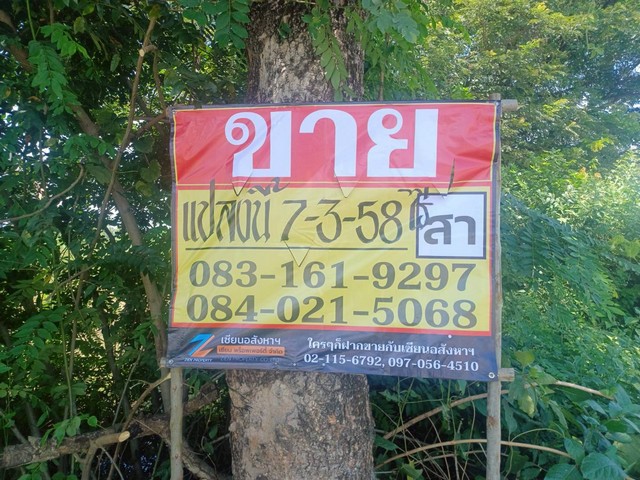ขายที่ดินราคาถูก 7-3-58 ไร่ ทำเลดี ติดถนนสายหลัก บ้านเนินมะครึด เมืองพิษณุโลก ZK564