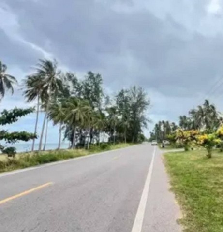 ขายที่ดิน ใกล้จุดชมวิววัดคอเขา ตำบลบางมะพร้าว อำเภอหลังสวน จังหวัดชุมพร
