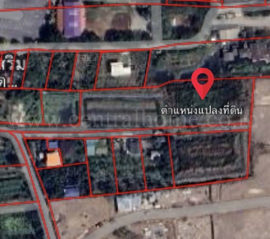 ที่ดินเปล่า 4-1-61 ไร่ ท่าอิฐ 15 แยกตาลเดียว - วัดบางบัวทอง นนทบุรี