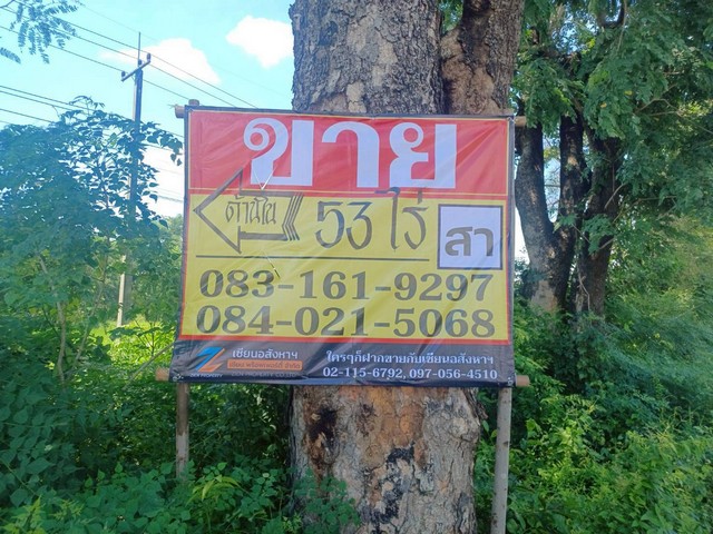 ขายที่ดิน 53-0-0 ไร่ ราคาถูก ทำเลดี ติดถนนสายหลัก บ้านเนินมะครึด วัดโบสถ์ พิษณุโลก ZK566