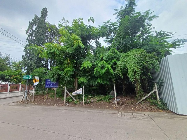 ขาย ที่ดินถมแล้ว 160 ตร.ว. ถ.พระราม ซ.19 แปลงมุม ติดถนน 2 ด้าน