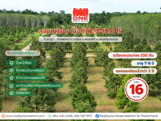 สวนทุเรียนหมอนทอง จำนวน 330 ต้น อายุ 7– 8 ปี เริ่มให้ผลผลิตแล้ว 2 ปี เนื้อที่ 12-3-10.6 ไร่