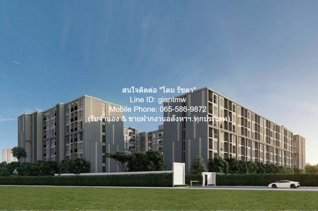 คอนโดมิเนียม อาโล่ ลาซาล 17 Arlo Lasalle 17 10000 - 1BEDROOM1BATHROOM 30 ตาราง.เมตร ใกล้กับ สถานีรถไฟฟ้า BTS แบริ่ง 1.2 กม. สภาพเยี่ยม! กรุงเทพ