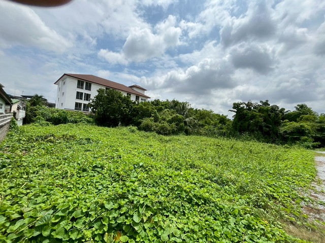 ขายที่ดินสวย 4.5 ไร่ ซอยสิรินธร 2 ทำเลทอง กลางเมืองสิรินธร-บรมฯ ที่ดินผืนใหญ่แหล่งท้ายๆของย่านนี้ ใกล้ทางด่วน-รถไฟฟ้า