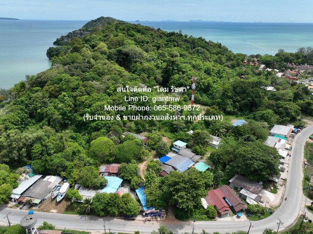 พื้นที่ดิน ขายที่ดินสวนป่า บนเนินไหล่เขา วิวทะเล (Seaview) เกาะสิเหร่ ภูเก็ต 5-0-48.7 ไร่ (ห่างชายทะเล 100 ม.), ราคา 76,826,250 บาท (15 ล้านบาท/ไร่) 35898750 THAI BAHT 16 sq.wa 2 NGAN 1 RAI ใกล้กับ ห่างเทศบาลเมืองภูเก็ต ประมาณ 7 กม. ลดแบบสุดๆ เป็นที