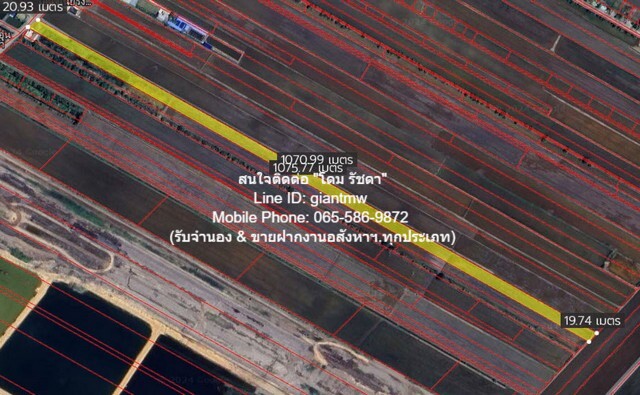 ที่ดิน ขายที่ดินทุ่งนาติดถนน ต.คลองเปร็ง อ.เมืองฉะเชิงเทรา 13-0-24.9 ไร่ 6.25 ล้านบาท 6250000 THB ใหญ่ขนาด 13 RAI 0 ngan 25 ตรว. ราคา งาม เป็นที่ดินทรงสี่เหลี่ยมผืนผ้าเล็ก และมีแนวลึก ติดถนนลาดยาง (กว้าง 6 ม.) เหมาะสำหรับคนที่ต้องการนำไปพัฒนาโครง