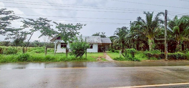 ที่ดิน 54 ไร่ 139 ตร.ว มีครบ! สวนยาง–สวนปาล์ม–บ้าน–น้ำใช้ตลอดปี จ.สระแก้ว