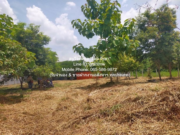 ที่ดิน ขายที่ดินเปล่า 1-0-14.5 ไร่ (414.5 ตร.ว.) ซ.สุวินทวงศ์ ใกล้สนามกอล์ฟฟินิกซ์ โกลด์ กอล์ฟ แบงค็อก 15 ตรว. 0 NGAN 1 ไร่ 4500000 BAHT ใกล้ ใกล้สนามกอล์ฟฟินิกซ์ โกลด์ กอล์ฟ แบงค็อก (Phoenix Gold Golf Bangkok) ราคาดีเยี่ยม กรุงเทพ