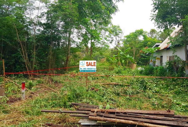 ที่ดินเปล่า ซอยคลองหกตะวันออก 98/1 ถ.รังสิต-นครนายก คลองหลวง ปทุมธานี