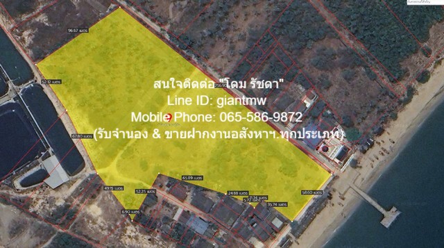 พื้นที่ดิน ขายที่ดินเปล่าติดทะเล (ผังสีชมพู) ต.ห้วยทราย อ.เมืองประจวบคีรีขันธ์ จ.ประจวบคีรีขันธ์ 17-3-54.9 ไร่, ราคา 53,661,750 บาท (3 ลบ./ไร่) พื้นที่ 55 ตร.ว. 3 งาน 17 ไร่ 62605375 B. บรรยากาศ ดี