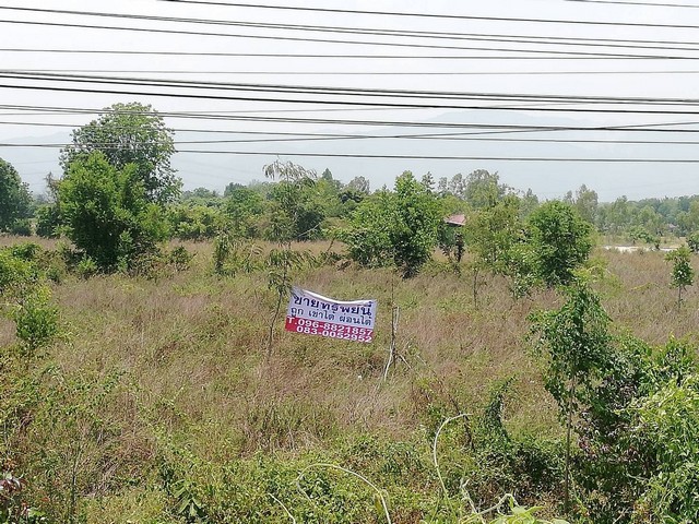 พรีเซ้นทรัพย์ทำเลทองใกล้สิ้นปี เมืองบ้านตากจังหวัดตาก 3-1-40 ไร่ ติดถนนเอเซีย AH1 ติดถนนพหลโยธิน ไร่ 3ลบ. โทร 096-8821857
