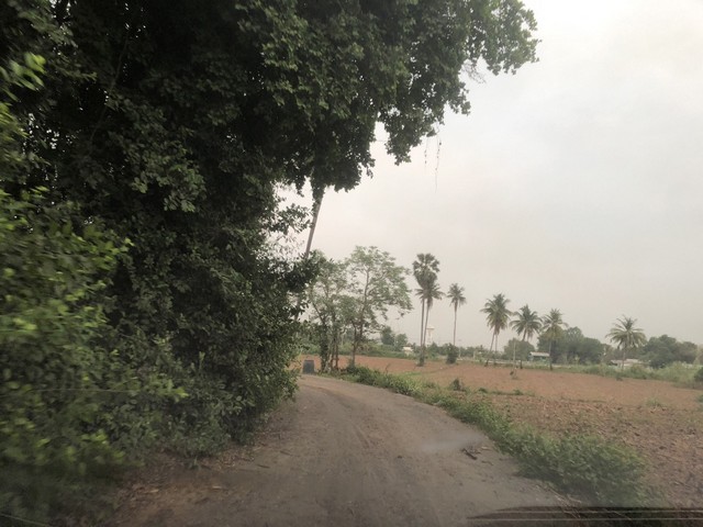 ที่ดินบ้านพร้อมโอนเจ้าของขายเอง ขายที่สวยติดแม่น้ำน่าน ชุมแสง จ.นครสวรรค์ 300000 บาท.วิวแม่น้ำเกษตรดีงามสวยสมบูรณ์