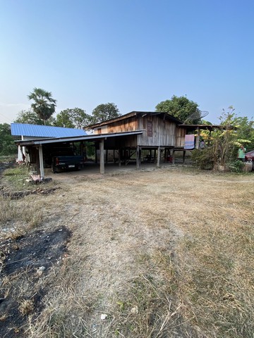 ที่ดินบ้านพร้อมโอนเจ้าของขายเอง ขายบ้านไม้ จ.สิงห์บุรี วิถีไทย ต.โพทะเล วิถีไทย 262 วา ต.โพทะเล อ.ค่ายบางระจัน สิงห์บุรี 500000บาท