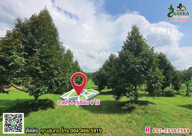 ขายสวนทุเรียน 4 ไร่ ใกล้ซอย 10 มีทุเรียนหมอนทองประมาณ 80 ต้น ต้นทุเรียนสวยสมบูรณ์ อายุทุเรียน 5 ปีกว่า