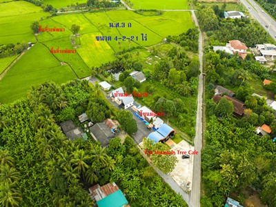 ที่ดินพร้อมคาเฟ่และบ้านพัก 4-2-21 ไร่ วิวภูเขา–ทุ่งนา ใจกลางแก่งเสี้ยน เมืองกาญจนบุรี โอกาสสร้างรายได้หลักแสน