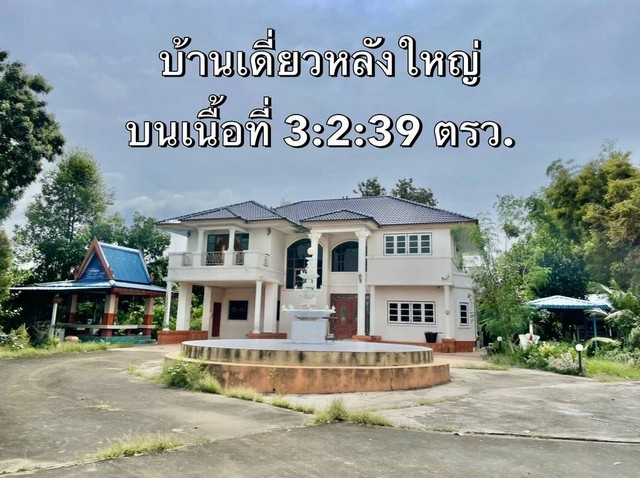 ขายบ้านเดี่ยวพนัสนิคมชลบุรี ขายบ้านเดี่ยวหลังใหญ่ ขายพร้อมกิจการ มีห้องเช่า เก็บค่าเช่าตลาดนัด