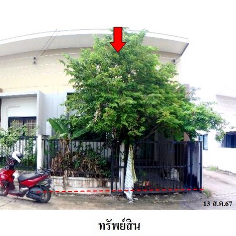 ขายทาวน์เฮ้าส์ เดอะ พาโน่ 1 (มาบข่า-ทับมา) ถ.บ้านหนองตะพาน-บ้านมาบข่า-บ้านหนองตะพาน ตำบล มาบข่า อำเภอ นิคมพัฒนา จังหวัด ระยอง