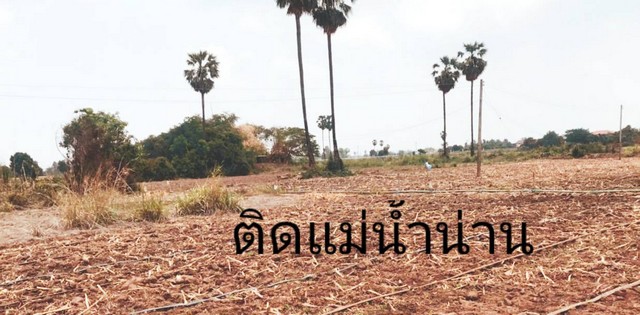 ที่ดินวิวสวยทำเลเหมาะอากาศดี ขายที่สวยติดแม่น้ำน่าน ชุมแสง จ.นครสวรรค์ 300000 บาท.วิวแม่น้ำเกษตรดีงามสวยสมบูรณ์