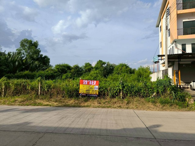 ขายที่ดิน 257 ตร.วา ต. พันท้ายนรสิงห์ ใกล้โรงเรียนอัสสัมชัญสมุทรสาคร