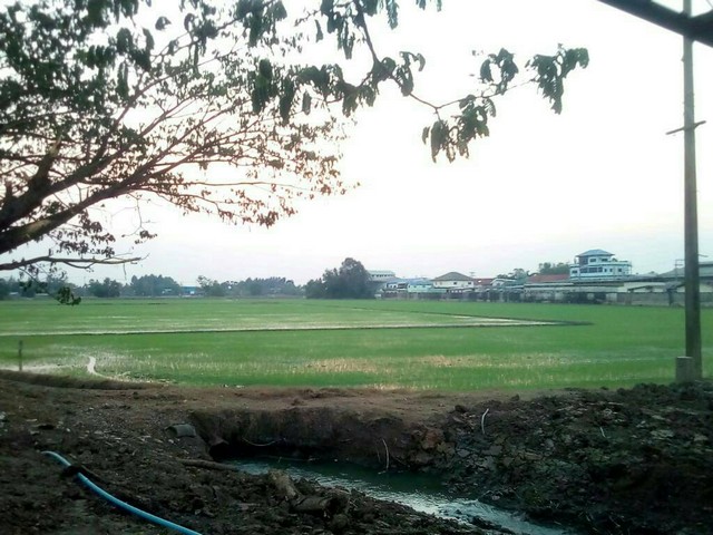 ขายที่ดิน 30-3-59.6 ไร่ อ.สามโคก ต.ท้ายเกาะ จ.ปทุมธานี ติดถนนใหญ่ 3111 ปทุมธานี-สามโคก-เสนา ที่ดินแปลงสวย เหมาะทำการลงทุน