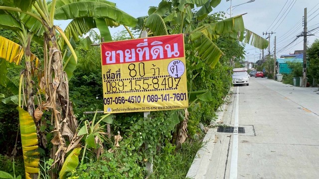ขายที่ดิน 80 ตร.วา สวยแปลงมุม ซ. จตุรโชคชัย 1 ใกล้วัดหลวงพ่อโต บางพลี สมุทรปราการ ZT483