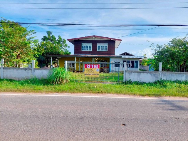 ขายด่วนบ้านเดี่ยว 2 ชั้น 185 ตร.วา ใกล้รีสอร์ทหญิงลี ลั่นล่า นาโพธิ์ บุรีรัมย์ ZT840
