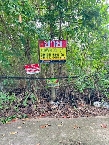 ขายที่ดิน เฉลิมพระเกียรติ ร.9 ซอย 7 แยก 6 เนื้อที่ 1 ไร่ หนองบอน ประเวศ กรุงเทพ
