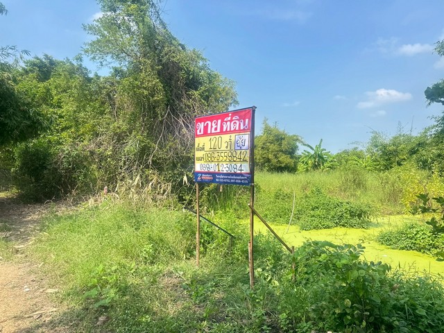 ขายที่ดิน 120 ตารางวา คูบางหลวง ลาดหลุมแก้ว ปทุมธานี ZT846