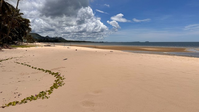 หนาวนี้ดูซื้อทรัพย์เล็งขาย ขายที่ดินริมหาดสะพลีทรายขาวน้ำใสคราม สวยงามวิวทะเลธรรมชาติสุดสุด ปะทิวใกล้หาดสวยทุ่งวัวแล่น