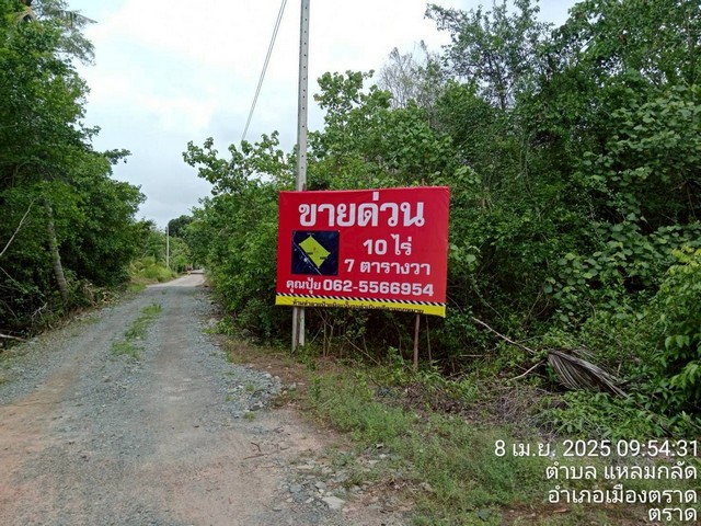 ขายที่ตราด ที่เปล่าแหลมกลัด ที่ใกล้ทะเลติดคลองสนห่างจากทะเล100เมตร ต.แหลมกลัด อ.เมืองตราด จ.ตราด ผังเมืองสีเขียว