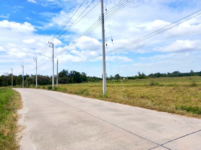 ขายที่ดินมาบไผ่บ้านบึงชลบุรี ขายที่ดินบ้านบึง 49-1-46 ไร่ ผังสีเหลือง เหมาะสำหรับสร้างโกดัง คลังสินค้า