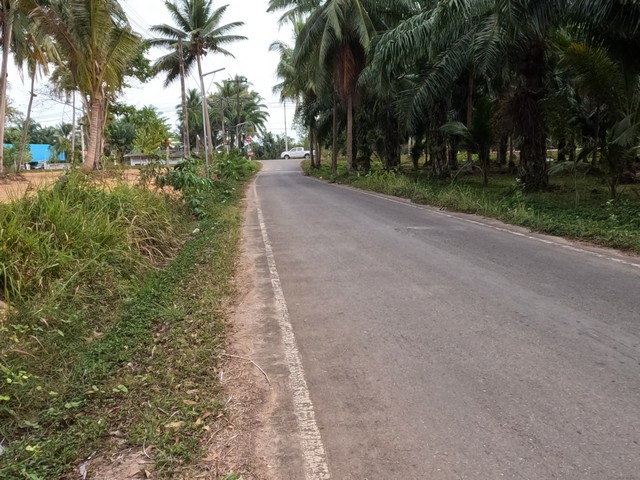 โปรปลายปีรับลมหนาวมาแล้ว ขายที่ดินใกล้หาดบางเบิด ติดถนนทางหลวง ใกล้หาด1 กม. +ขนาดที่ดิน 50-1-18 ไร่ โฉนดครุฑแดง พร้อมโอน ไร่ล่ะ 8 แสน