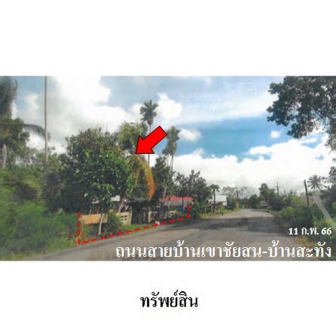 ขายบ้านเดี่ยว ถนน บ้านเขาชัยสน-บ้านสะทัง ตำบล เขาชัยสน อำเภอ เขาชัยสน จังหวัด พัทลุง
