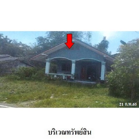 ขายบ้านเดี่ยว ถนน สายบ้านเกาะศพ-เกาะสัก ตำบล โคกทราย อำเภอ ป่าบอน จังหวัด พัทลุง