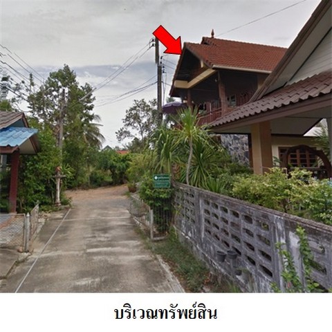 ขายบ้านเดี่ยว ถนน พัฒนา ตำบล คูหาสวรรค์ อำเภอ เมืองพัทลุง จังหวัด พัทลุง