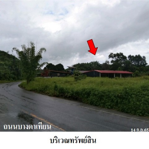 ขายบ้านเดี่ยว ถนน บางตาเทียน ตำบล คึกคัก อำเภอ ตะกั่วป่า จังหวัด พังงา