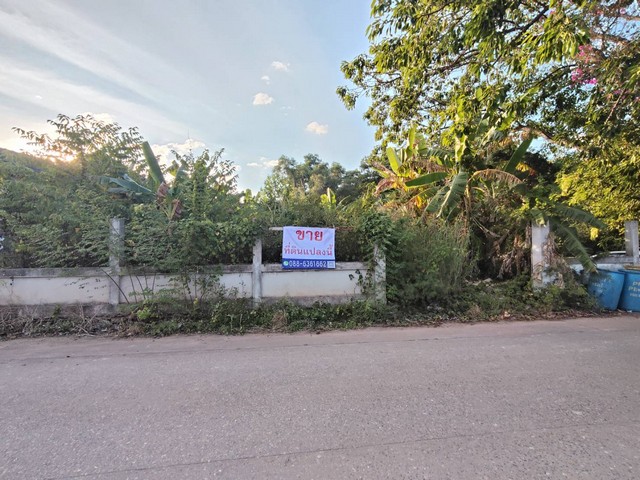 ขายที่ดินเปล่า ถมแล้ว แปลงมุม อ. แกลง ระยอง ใกล้ ชายหาดแหลมแม่พิมพ์ 500 ม. Land for Sale at Mae Phim Beach (ผังเมือง EEC)