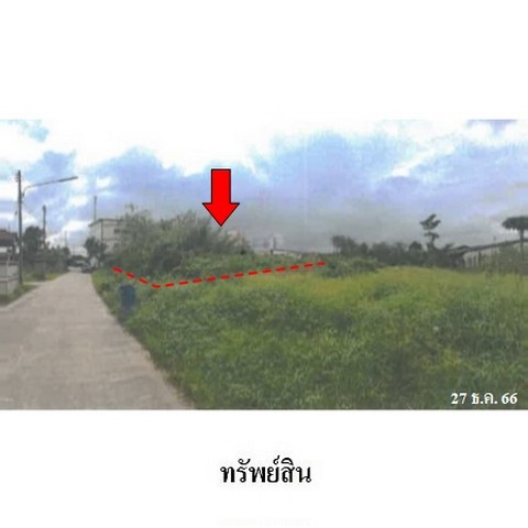 ขายที่ดินว่างเปล่า ถนน ถนนสงขลา-ปัตตานี (ทล.42) ตำบล นาทวี อำเภอ นาทวี จังหวัด สงขลา