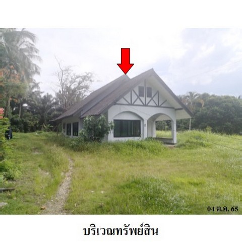 ขายบ้านเดี่ยว ถนน สำนัก-บางเบน (รน.1037) ตำบล ม่วงกลวง อำเภอ กะเปอร์ จังหวัด ระนอง