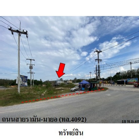 ขายที่ดินว่างเปล่า ถนน สายรามัน-ลาโต๊ะหะลอ (ทล.4066) ตำบล กายูบอเกาะ อำเภอ รามัน จังหวัด ยะลา