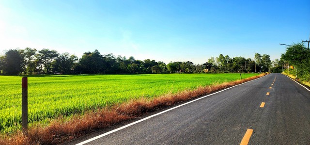 ขายที่ดิน 11 ไร่ ติดถนนลาดยาง ใกล้อบต องครักษ์ ใกล้มหาลัย คลอง 16 ทำเลดี เหมาะค้าขาย เหมาะทำอพาร์ทเม้นท์ อยู่ใกล้มศว