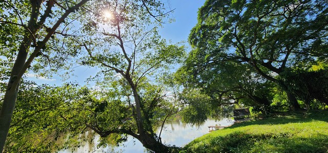 ขายที่ดินติดแม่น้ำแควน้อย เมืองกาญจนบุรี หน้าน้ำกว้าง ขนาด 9 ไร่ บรรยากาศวิวดีมาก น้ำใส ลมเย็น เหมาะสร้างบ้านพักตากอากาศ ทำรีสอร์ท