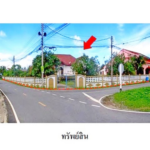 ขายบ้านเดี่ยว ถนน สายชายทะเล-แยกม่วงงาม ตำบล ม่วงงาม อำเภอ สิงหนคร จังหวัด สงขลา