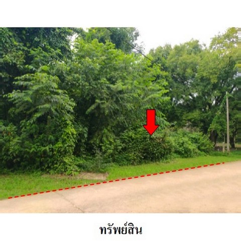 ขายที่ดินว่างเปล่า ถนน ถนนกาญจนวนิช (ทล.407) ตำบล คลองแห อำเภอ หาดใหญ่ จังหวัด สงขลา