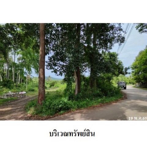 ขายที่ดินว่างเปล่าถนน ทางหลวงชนบท ชพ.408 (สงขลา-ระโนด) ตำบล สทิงหม้อ อำเภอ สิงหนคร จังหวัด สงขลา